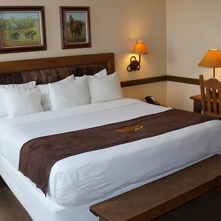Stockyards Hotel Fort Worth Room photo